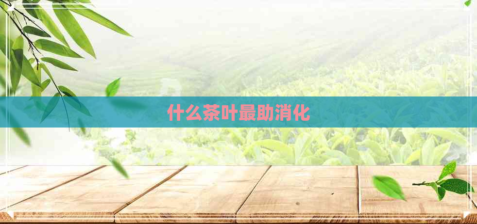 什么茶叶最助消化