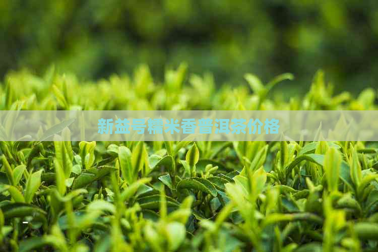 新益号糯米香普洱茶价格