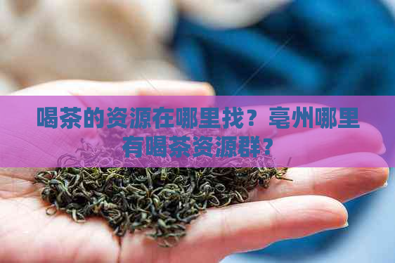 喝茶的资源在哪里找？亳州哪里有喝茶资源群？