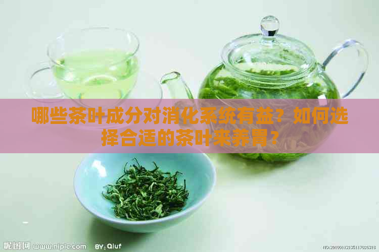 哪些茶叶成分对消化系统有益？如何选择合适的茶叶来养胃？