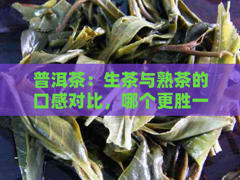 普洱茶：生茶与熟茶的口感对比，哪个更胜一筹？