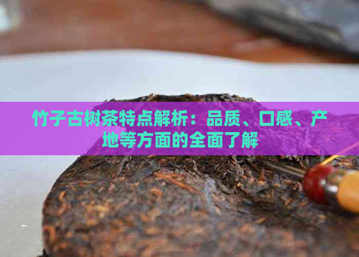 竹子古树茶特点解析：品质、口感、产地等方面的全面了解