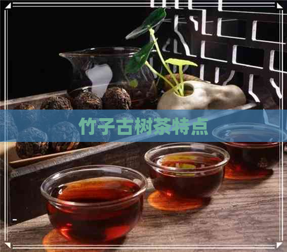 竹子古树茶特点