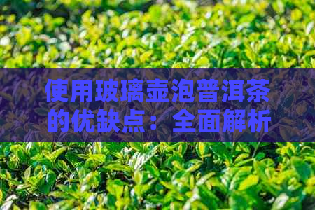 使用玻璃壶泡普洱茶的优缺点：全面解析与建议