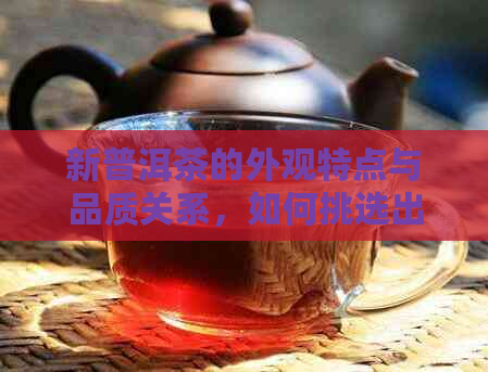 新普洱茶的外观特点与品质关系，如何挑选出好喝的普洱茶？