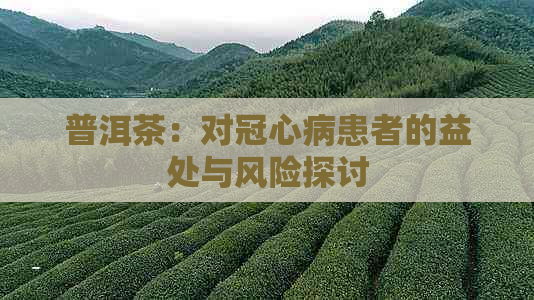 普洱茶：对冠心病患者的益处与风险探讨