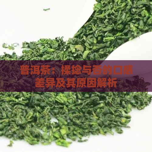 普洱茶：揉捻与否的口感差异及其原因解析