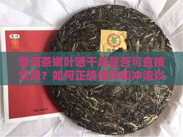 普洱茶嫩叶晒干后是否可直接饮用？如何正确保存和冲泡以保持其品质？