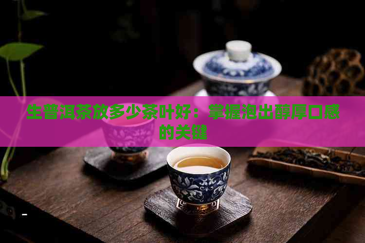 生普洱茶放多少茶叶好：掌握泡出醇厚口感的关键