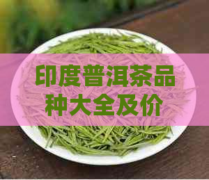 印度普洱茶品种大全及价格：探索印度茶叶的多样性