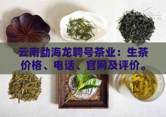 云南勐海龙聘号茶业：生茶价格、电话、官网及评价。