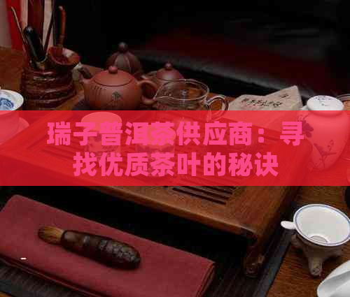 瑞子普洱茶供应商：寻找优质茶叶的秘诀