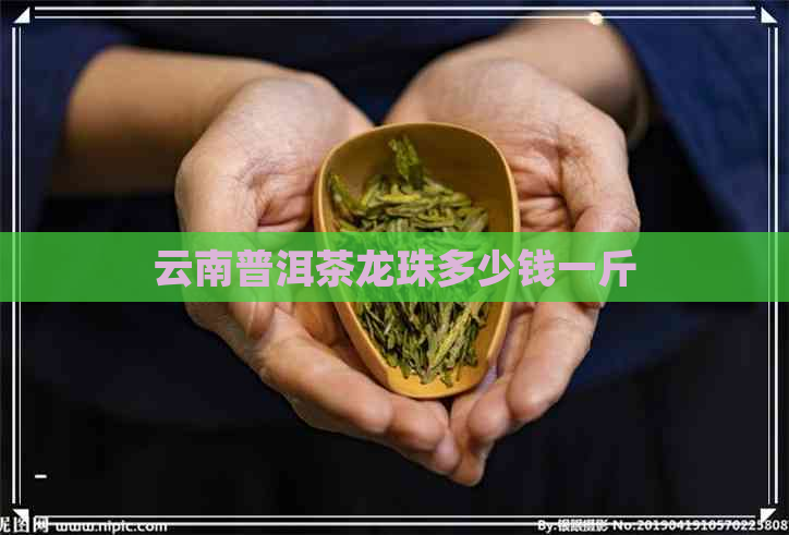 云南普洱茶龙珠多少钱一斤