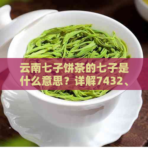 云南七子饼茶的七子是什么意思？详解7432、1729、经典和7741号饼茶及由来。