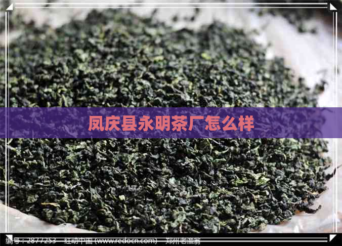 凤庆县永明茶厂怎么样