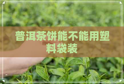 普洱茶饼能不能用塑料袋装