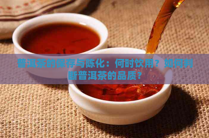 普洱茶的保存与陈化：何时饮用？如何判断普洱茶的品质？