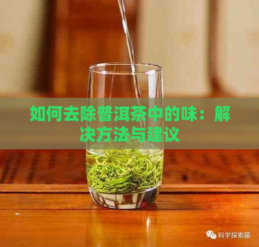 如何去除普洱茶中的味：解决方法与建议