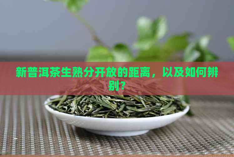 新普洱茶生熟分开放的距离，以及如何辨别？