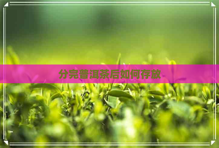 分完普洱茶后如何存放