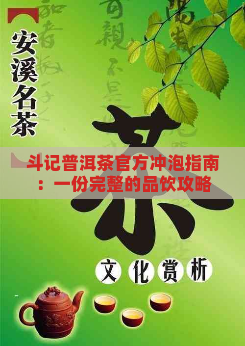 斗记普洱茶官方冲泡指南：一份完整的品饮攻略