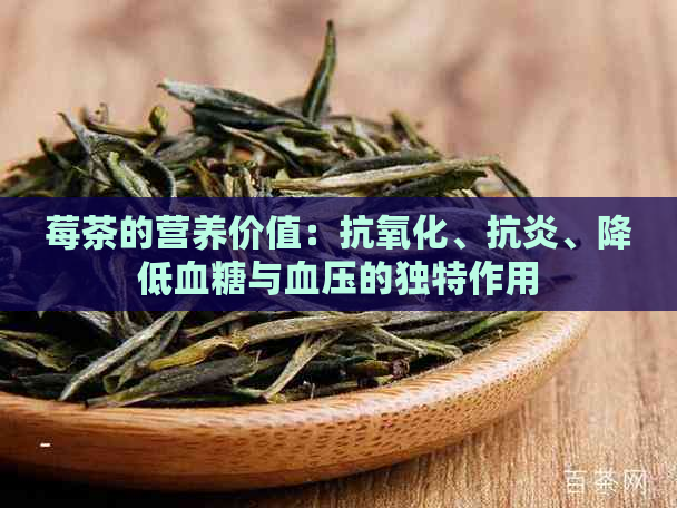 莓茶的营养价值：抗氧化、抗炎、降低血糖与血压的独特作用