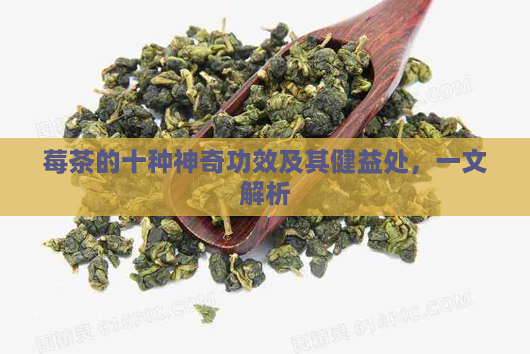 莓茶的十种神奇功效及其健益处，一文解析