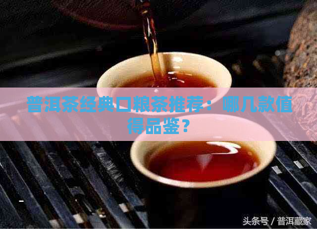 普洱茶经典口粮茶推荐：哪几款值得品鉴？