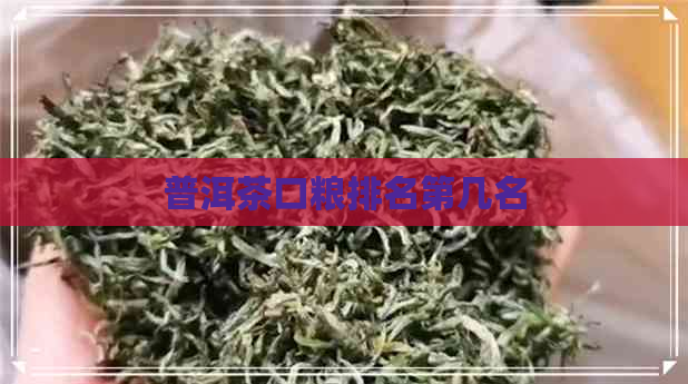 普洱茶口粮排名第几名