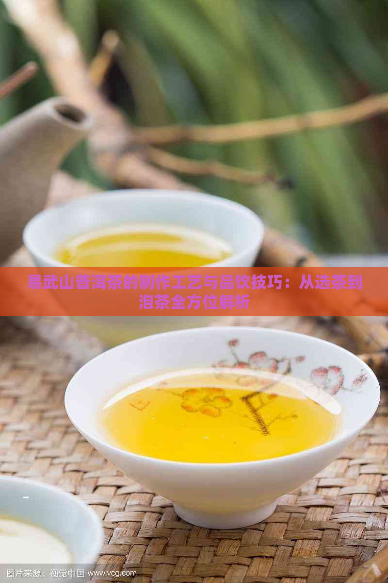 易武山普洱茶的制作工艺与品饮技巧：从选茶到泡茶全方位解析