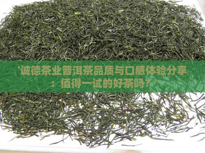 '诚德茶业普洱茶品质与口感体验分享：值得一试的好茶吗？'