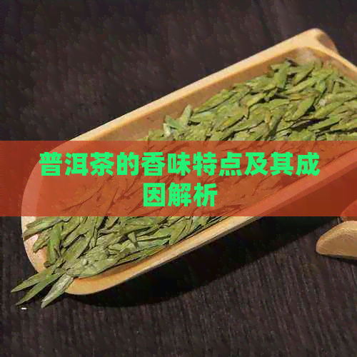 普洱茶的香味特点及其成因解析