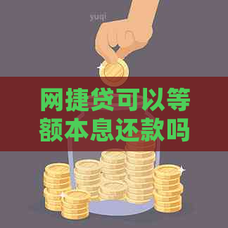 网捷贷可以等额本息还款吗？安全吗？网捷贷的还款方式是等额本金吗？