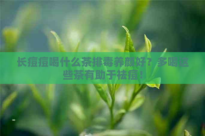 长痘痘喝什么茶排养颜好？多喝这些茶有助于祛痘！