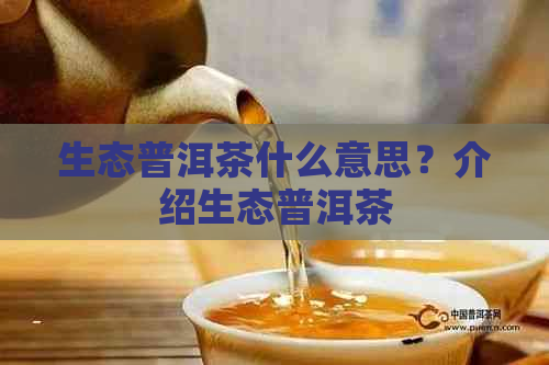 生态普洱茶什么意思？介绍生态普洱茶