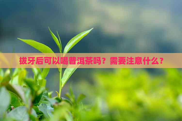 拔牙后可以喝普洱茶吗？需要注意什么？