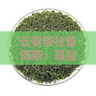 云春茶社普洱茶：高品质茶叶的价格分析与品鉴指南