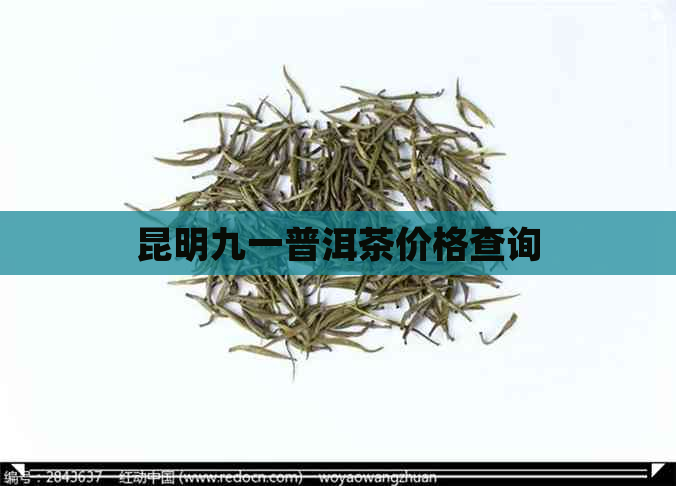 昆明九一普洱茶价格查询