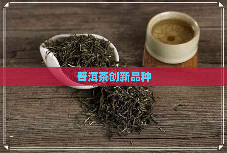 普洱茶创新品种