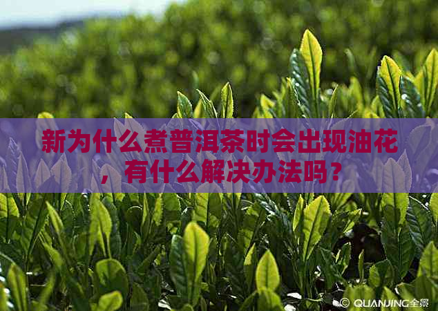 新为什么煮普洱茶时会出现油花，有什么解决办法吗？