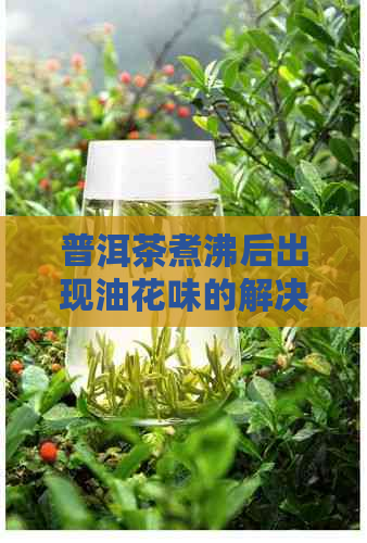 普洱茶煮沸后出现油花味的解决方法及可能原因分析