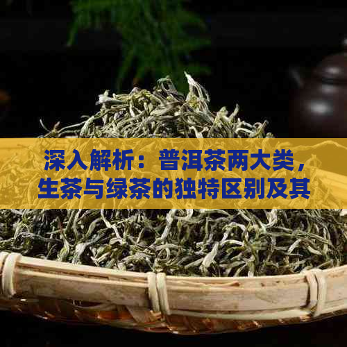 深入解析：普洱茶两大类，生茶与绿茶的独特区别及其品尝技巧