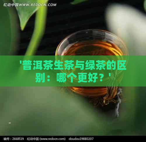 '普洱茶生茶与绿茶的区别：哪个更好？'