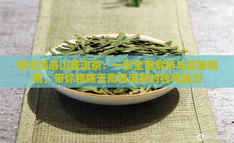 临沧鹰洛山普洱茶：一款全面解析与品鉴指南，带你领略云南普洱茶的独特魅力