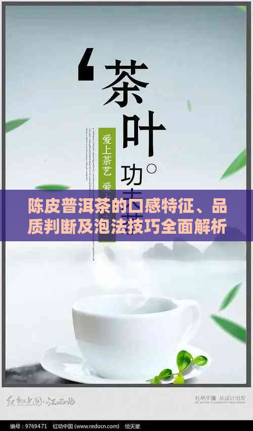 陈皮普洱茶的口感特征、品质判断及泡法技巧全面解析