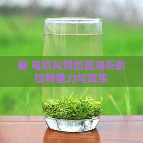 新 电吹风烘焙普洱茶的独特魅力与效果