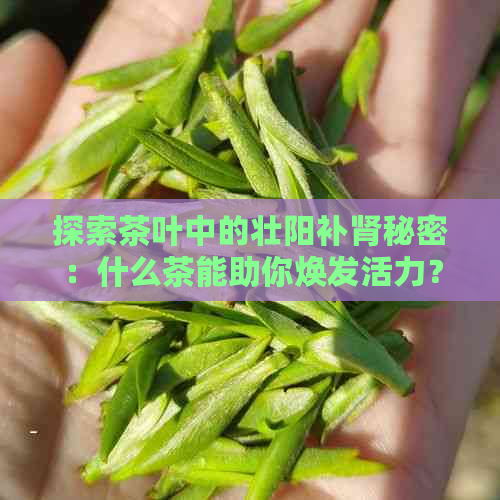 探索茶叶中的壮阳补肾秘密：什么茶能助你焕发活力？