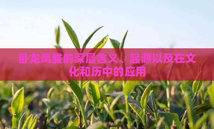 卧龙凤雏的深层含义、起源以及在文化和历中的应用