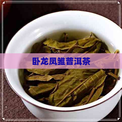 卧龙凤雏普洱茶