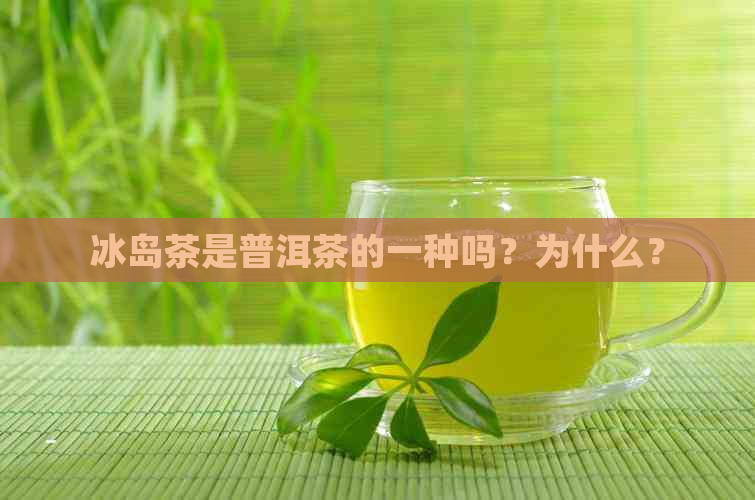 冰岛茶是普洱茶的一种吗？为什么？